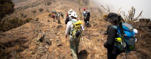 Machame Route Mount Kilimanjaro