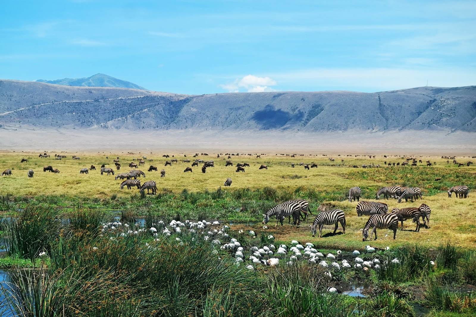 Ngorongoro Crater