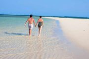 Serengeti safari and Zanzibar beach Special Offer