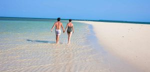 Serengeti safari and Zanzibar beach Special Offer