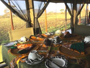 10 day safari Tanzania tented camp