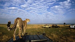 14 days Tanzania safari and zanzibar