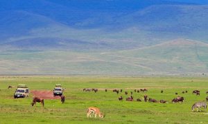 3 Days Ngorongoro Crater safari