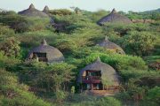 Family Friendly Safari Tanzania
