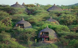 Family Friendly Safari Tanzania