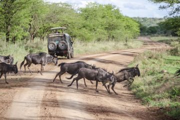 tanzania budget camping