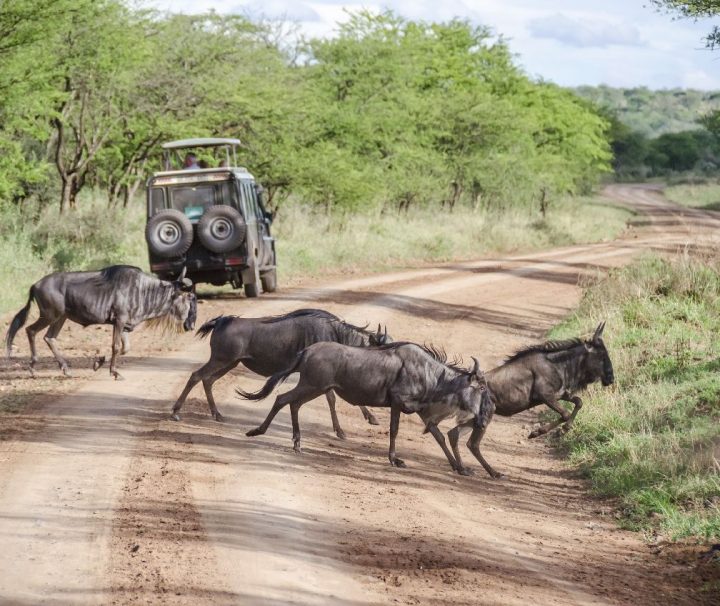 tanzania budget camping