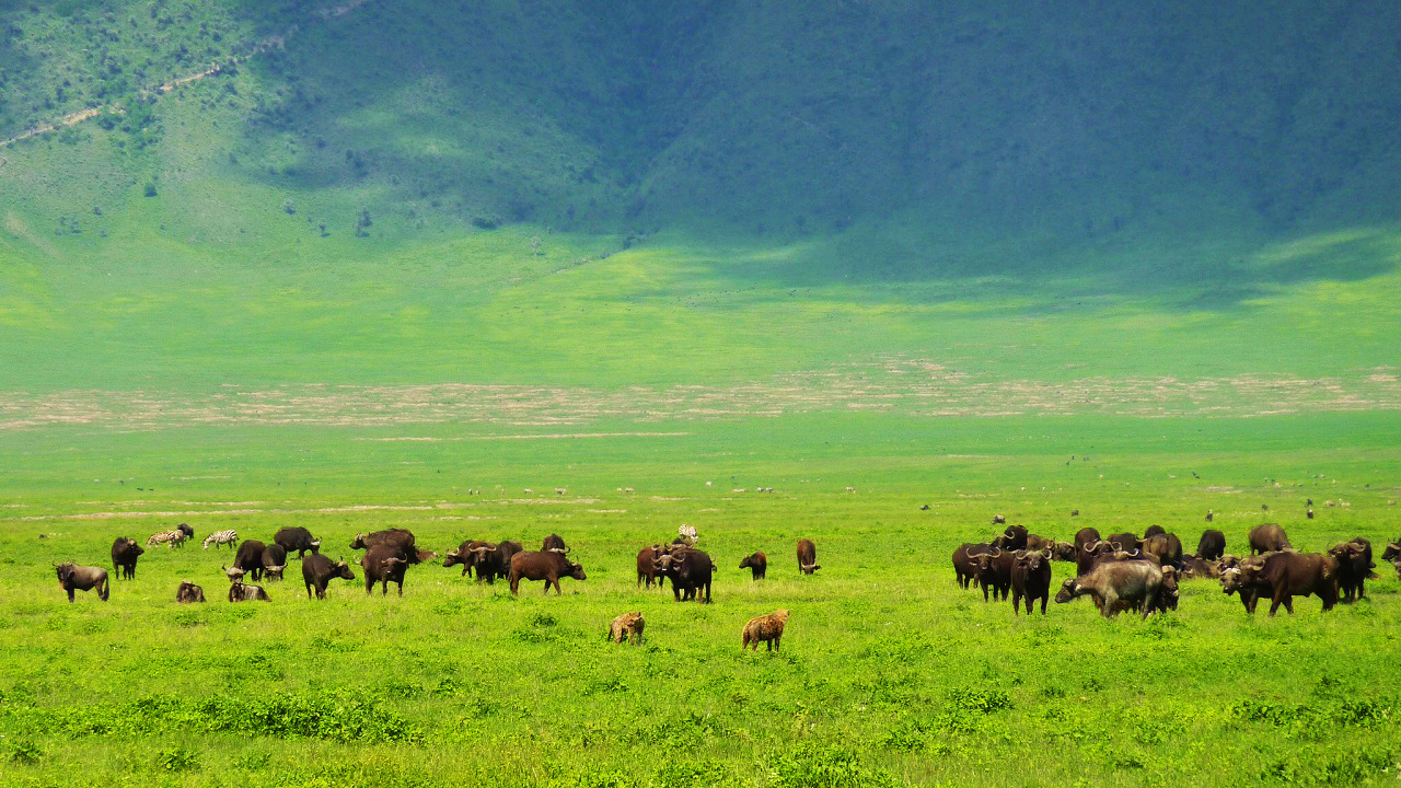 4 day safari tanzania