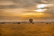 Balloon Serengeti Safari