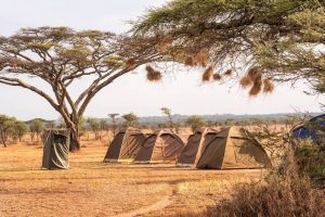 3 days budget camping safari Tanzania