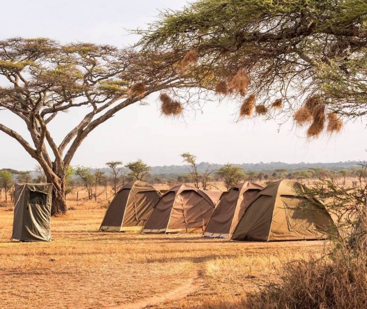 3 days budget camping safari Tanzania