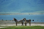 Lake Manyara 3 days