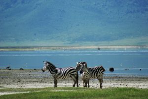 Lake Manyara 3 days