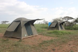 Tanzania Camping Safari