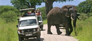 Safari Tarangire National Park