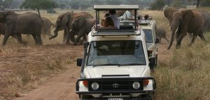 Tanzania Safari 4 days