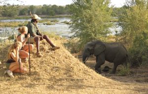 walking safari in selous