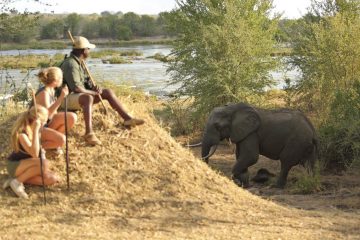 walking safari in selous