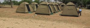 tanzania budget camping 6 days