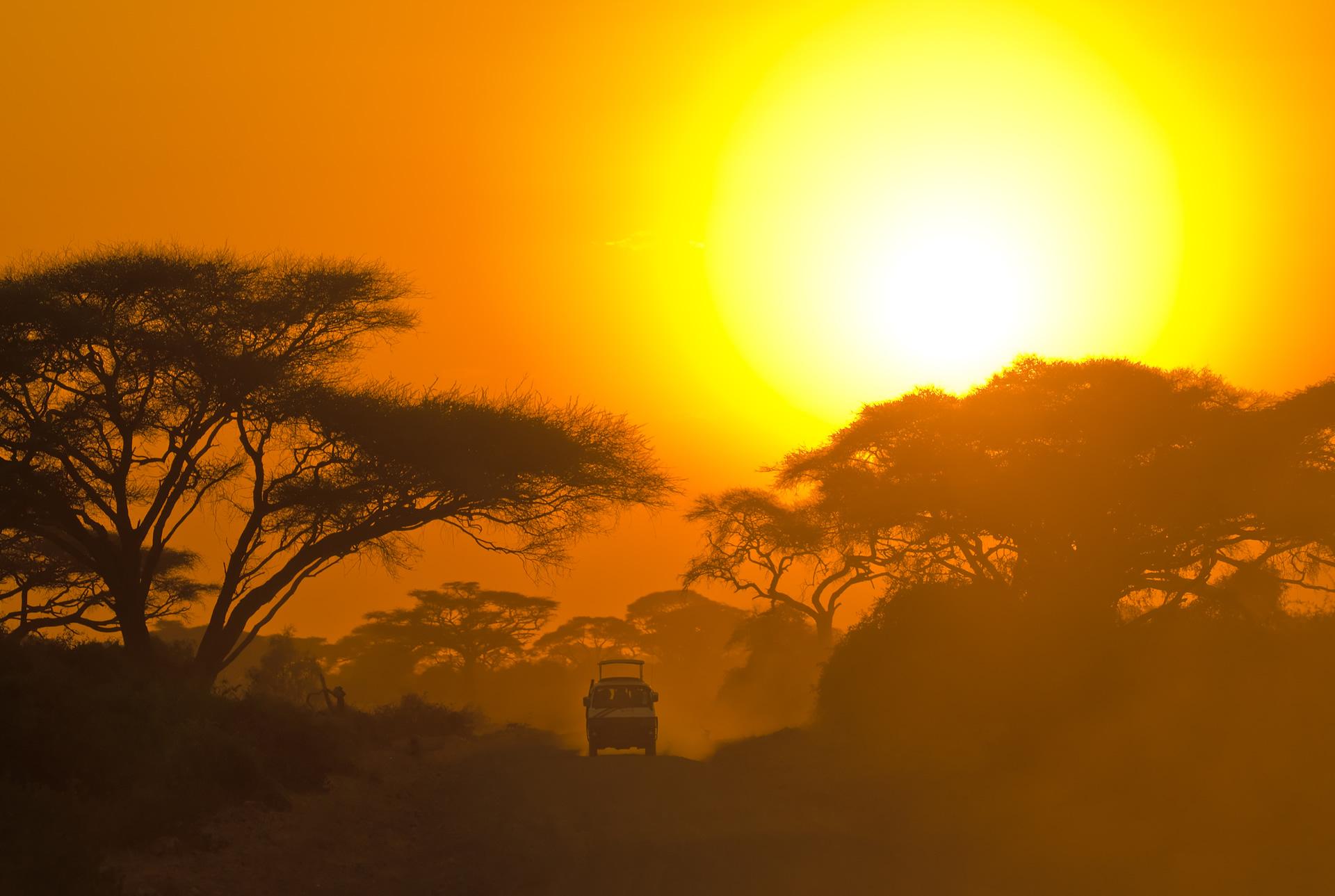 tanzania safari one week