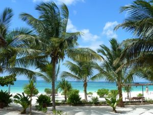 safari and beach zanzibar