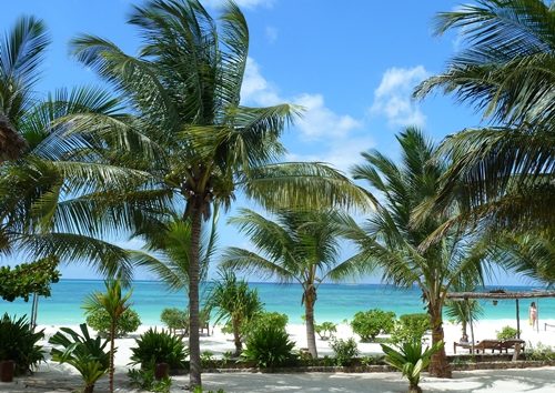 safari and beach zanzibar