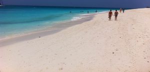 safari and beach Zanzibar