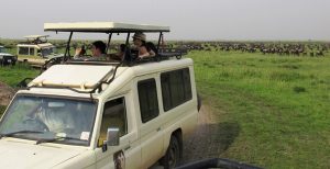 one week tanzania safari