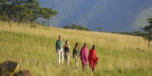 how to book safari tanzania