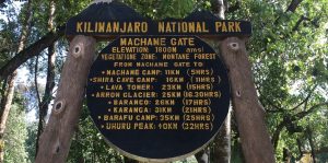 Machame route Kilimanjaro 7 days