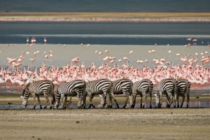 Ngorongoro Crater