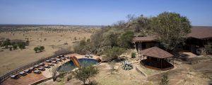 Lobo Wildlife Lodge