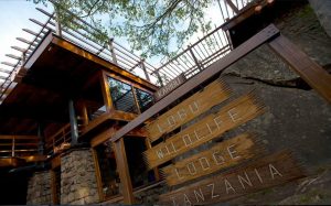 Lobo Wildlife Lodge Entrance