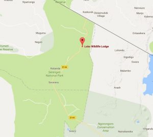 Lobo Wildlife Lodge Location