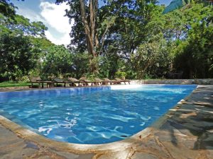 Rivertrees Country Inn Swimming Pool