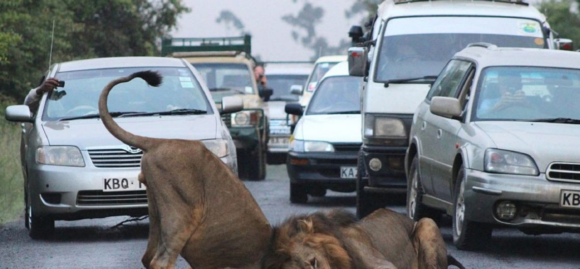 SGR Nairobi National Park