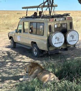 Serengeti safari and Zanzibar beach
