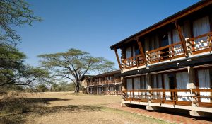 Seronera Wildlife Lodge rooms