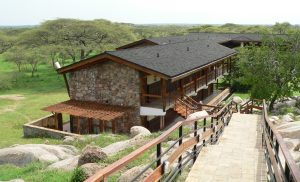 seronera wildlife lodge