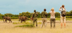 Tanzania Safari What to wear