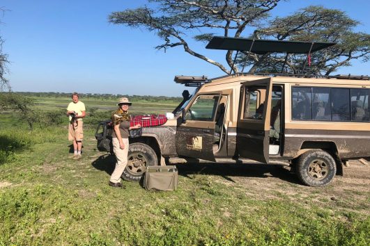 5 Days Tanzania safari lodge