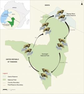 wildebeests Migration calendar route