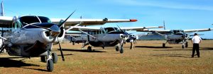 coastal flight serengeti