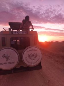 4 Days Tanzania safari from Zanzibar