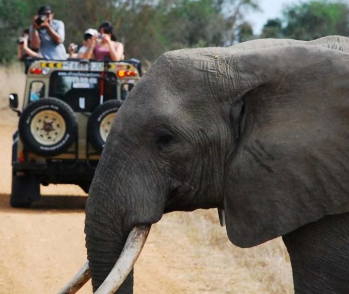 2 days safari mikumi from Zanzibar