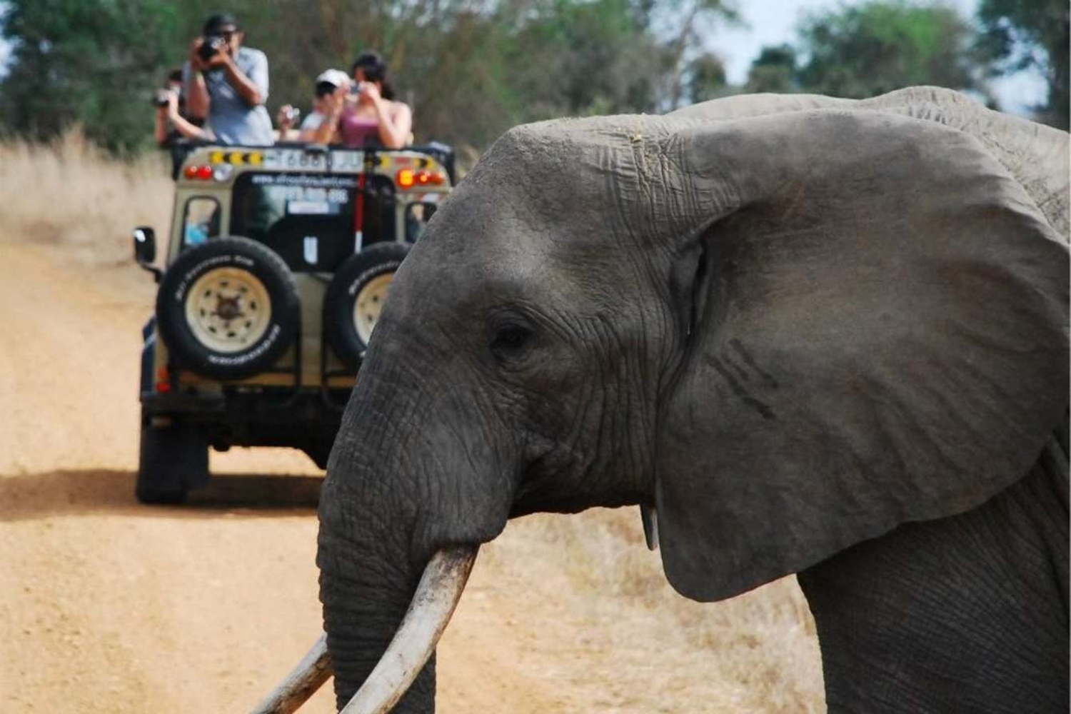 2 days safari mikumi from Zanzibar