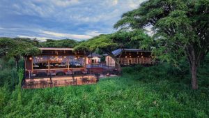 8 days Luxury safari Tanzania by Flight
