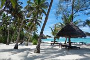 pongwe beach zanzibar