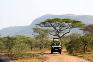 Game drives Tanzania