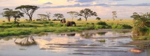 visiting Tanzania what to know